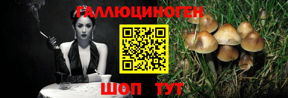 Псилоцибиновые грибы мухоморы Йошкар-Ола