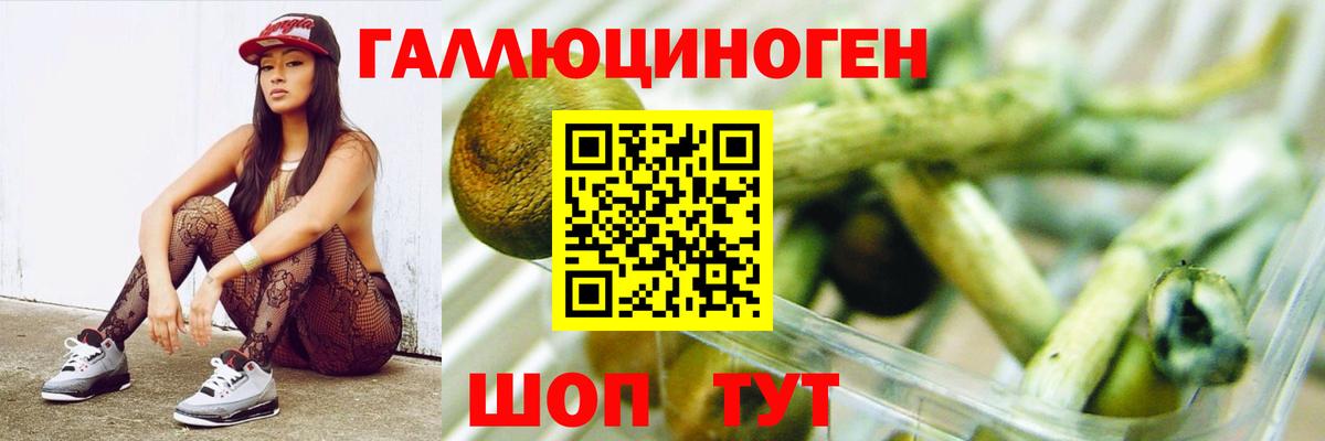 Йошкар-Ола  Галлюциногенные грибы MAGIC MUSHROOMS  Вход с VPN  Галлюциногенные грибы ЛСД 